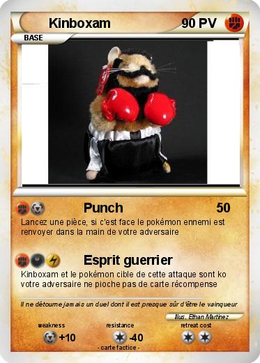 Pokemon Kinboxam