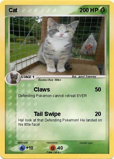 Pokemon Cat