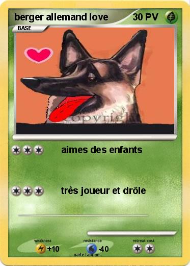 Pokemon berger allemand love
