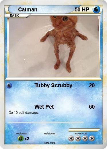 Pokemon Catman