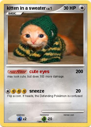 Pokemon kitten in a sweater