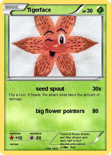 Pokemon Tigerface