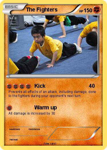 Pokemon The Fighters