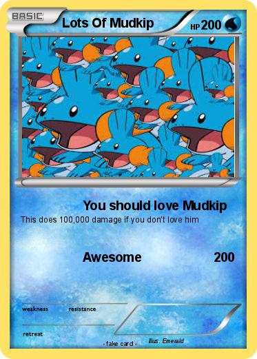 Pokemon Lots Of Mudkip
