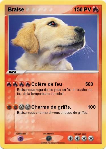Pokemon Braise