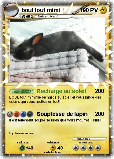 Pokemon boul tout mimi