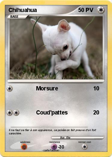 Pokemon Chihuahua