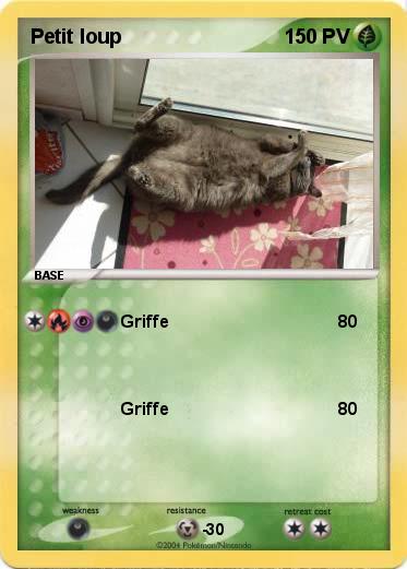 Pokemon Petit loup
