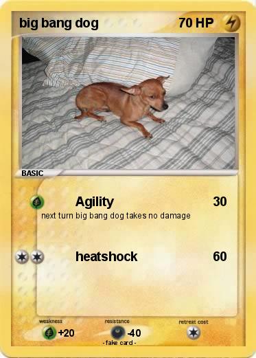 Pokemon big bang dog