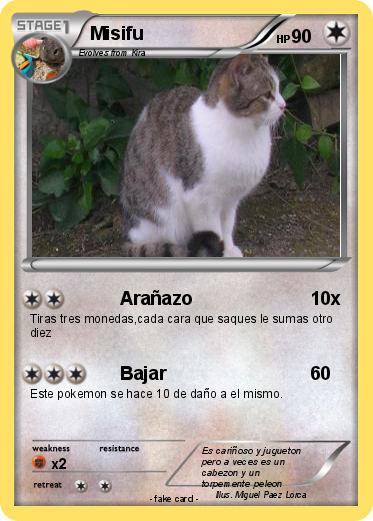 Pokemon Misifu
