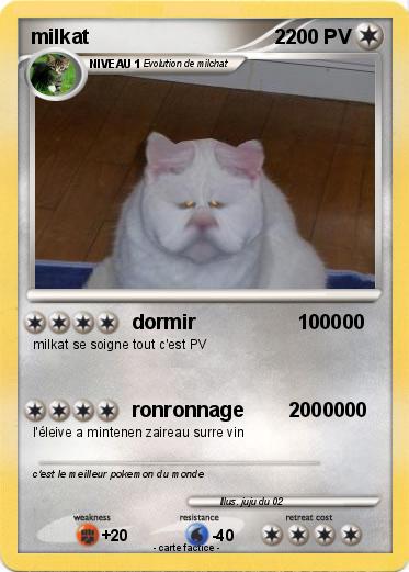 Pokemon milkat                                 2