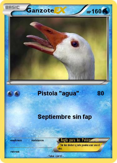 Pokemon Ganzote