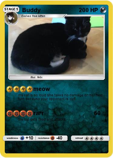 Pokemon Buddy