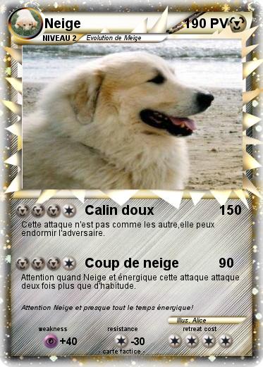 Pokemon Neige