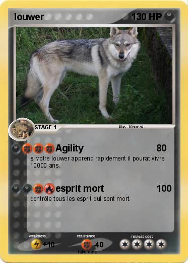 Pokemon louwer