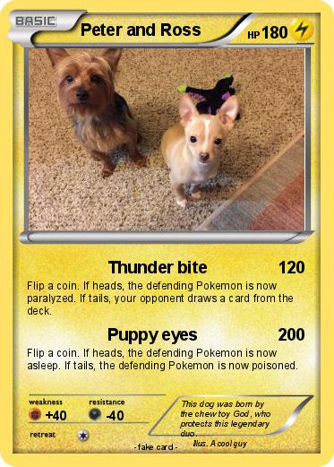 Pokemon Peter and Ross