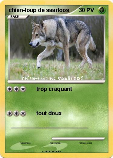 Pokemon chien-loup de saarloos