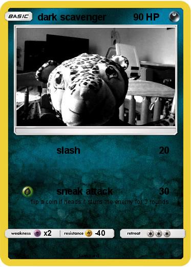 Pokemon dark scavenger