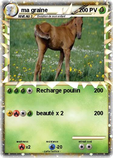 Pokemon ma graine