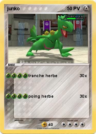 Pokemon junko