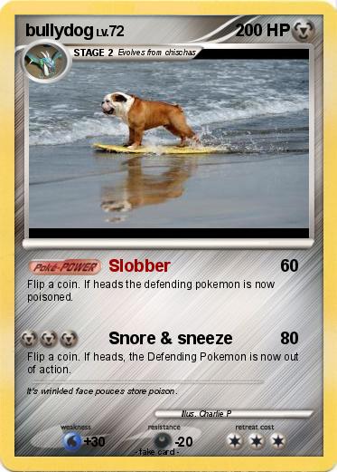 Pokemon bullydog