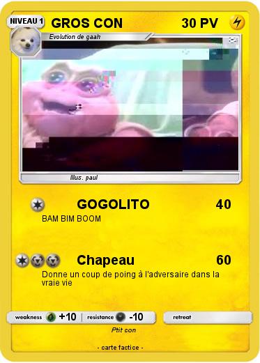 Pokemon GROS CON