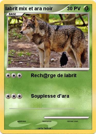 Pokemon labrit mix et ara noir