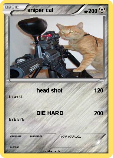 Pokemon sniper cat