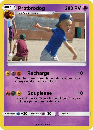 Pokemon Protbrodog