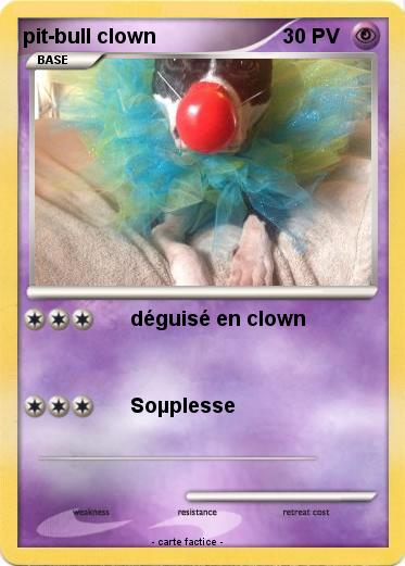 Pokemon pit-bull clown