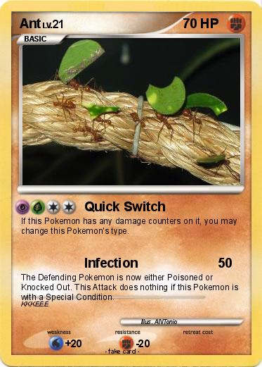 Pokemon Ant