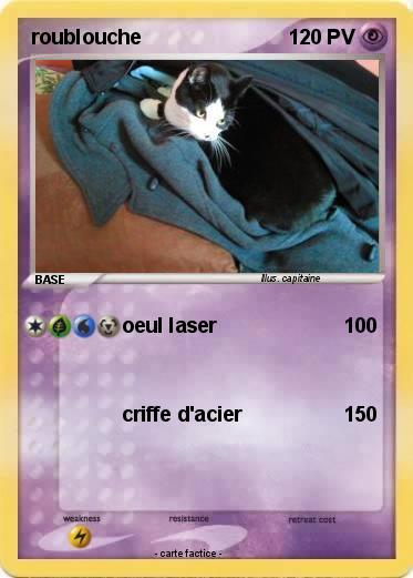 Pokemon roublouche