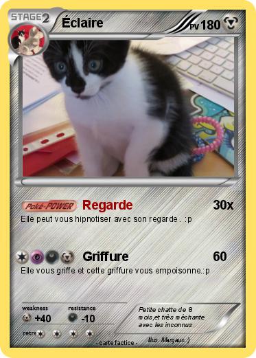 Pokemon Éclaire