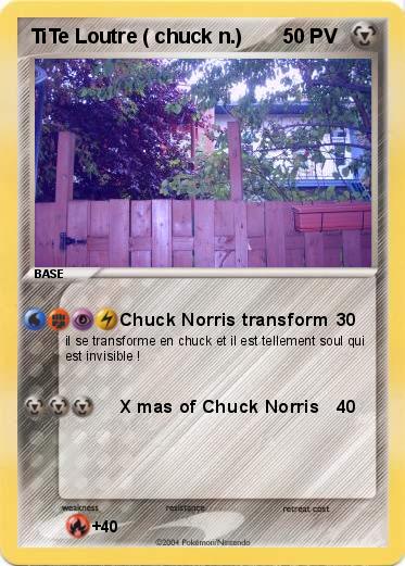 Pokemon TiTe Loutre ( chuck n.)