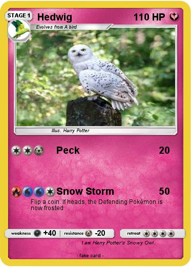 Pokemon Hedwig