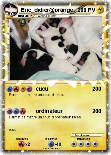 Pokemon Eric_didier@orange