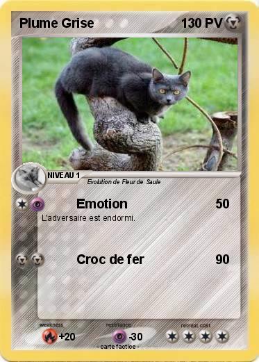 Pokemon Plume Grise