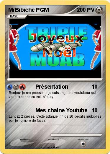Pokemon MrBibiche PGM