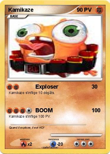 Pokemon Kamikaze