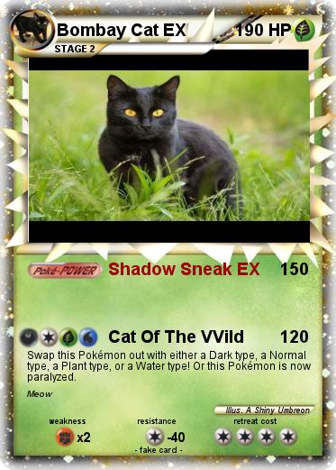 Pokemon Bombay Cat EX