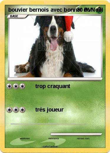 Pokemon bouvier bernois avec bonnet de Noël