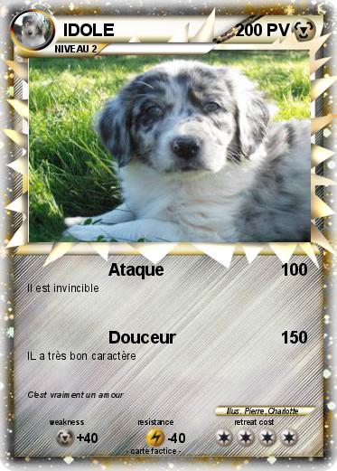 Pokemon IDOLE