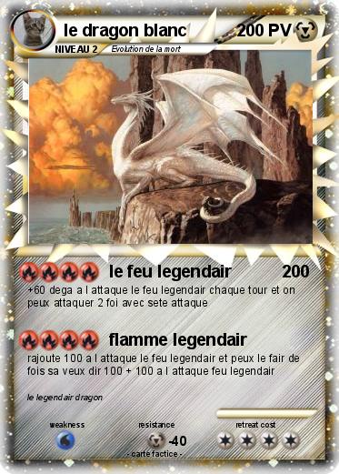 Pokemon le dragon blanc