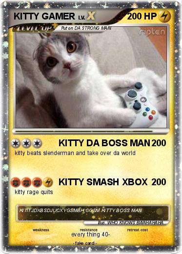 Pokemon KITTY GAMER
