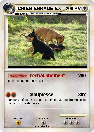 Pokemon CHIEN ENRAGE EX