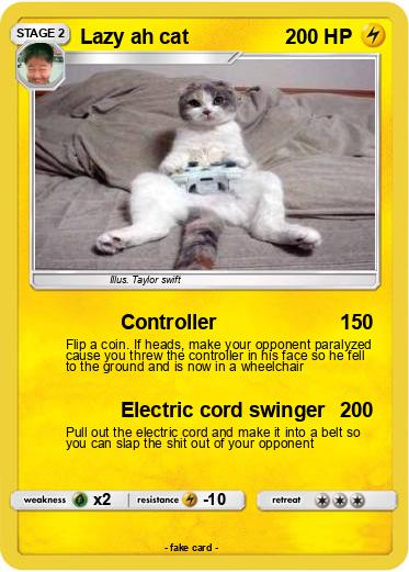 Pokemon Lazy ah cat