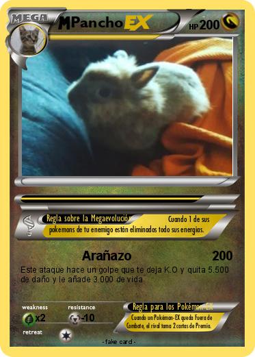 Pokemon Pancho