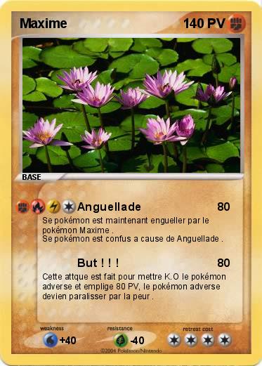 Pokemon Maxime