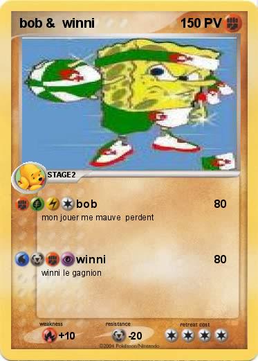Pokemon bob &  winni