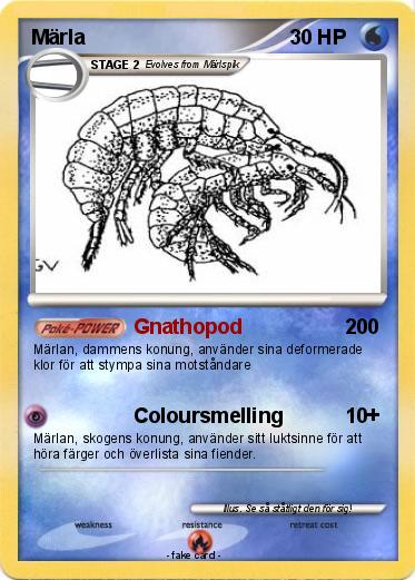 Pokemon Märla